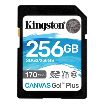 MEMORY SDXC 256GB UHS-I/SDG3/256GB KINGSTON-1