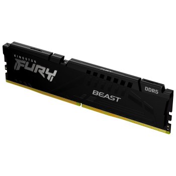 8GB DDR5-5600MTS CL40 DIMM FURY/BEAST BLACK-1