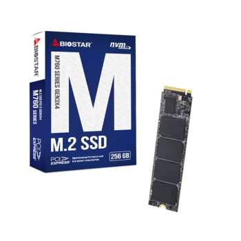 Dysk SSD Biostar M760 256GB-1