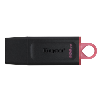 KINGSTON FLASH 256GB USB3.2 Gen1 DataTraveler Exodia (B+P)-1