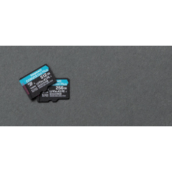 KINGSTON microSDXC Canvas Go Plus 256GB + adapter-5