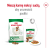 action/01S9w7j1U0U0L1m7N3Y2a1V9f578p7j3.jpg