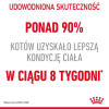 action/07B6P3O8E0h0E1K7U382O268h3q387D8.jpg