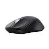 Mysz Trust Ferro wireless Black