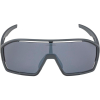 Okulary ALPINA BONFIRE kolor MIDNIGHT-GREY MATT szkło BLACK MIRROR Cat.3 FOGSTOP