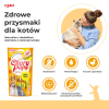 action/52P9M4F390Z0o1A792S8n5Y0T7k7g2i5.jpg