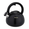 Czajnik nieelektryczny TEFAL N4180410