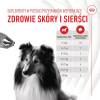 action/72E2F0X7h0q0j1X7x4f3v9R740T6x3X0.jpg