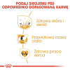 action/82A6o4o8i0J0E1n7Z247o2M741d3R8d2.jpg
