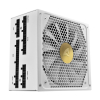 Sharkoon Rebel P30 Złoty Zasilacz 1000 W 20+4 pin ATX ATX Biały (4044951038534)
