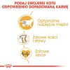 action/A9E3X7n7F0p0c1M7c3e2D207F972a360.jpg