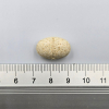 action/B5Z172G4R0m0m1u7H7s1g4U5I9R967K7.png