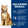 action/B9F8I5T0Q0H0M1S7T7T9f948w8j3M376.png