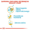 action/C9V5f9a5d0u0M1i7h2N7v2A5Y5r3s1g9.jpg