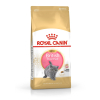 Royal Canin FBN British Shorthair Kitten - sucha karma dla kociąt - 2 kg