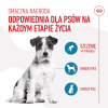 action/F3M0d0e4q0O0h1i7P453W9U7h1i8N8z7.jpg