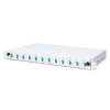 Panel krosowy FO z wyposażeniem 19'' 1U, 12x LC dx, OM3, pigtaile, adaptery, tacki, wysuwany, szary