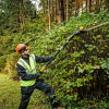 action/H2H0S0y7W04041r7z6G7C1D4M0x18215.jpg