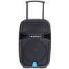 Blaupunkt PA12 głośnik przenośny 650 W Przenośny głośnik stereo Czarny