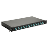 Equip LWL-SpleiĂźkasten 12-Port LC-Duplex OM3 1U komplett  sw