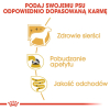 action/I9T118K0R0L0t1l712C7m2z609P2X6c1.jpg