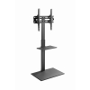 GEMBIRD STOJAK PODŁOGOWY POD TELEWIZOR 32" - 55",