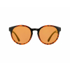 Okulary polaryzacyjne Red Bull Spect Ever - havanna/brown/bronze