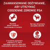 action/K6N571o4w0l031p7z7L2b627z5D9z2i6.jpg
