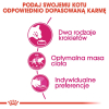 action/K7Z2s9H330p021w7a3z3l4V0o2Z532d3.jpg