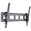 Techly ICA-PLB 622 2,54 m (100") Czarny