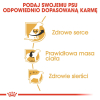 action/L0O9a2l1s0p0k1q7r2n7G225K6G1q6g8.jpg