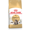 Royal Canin FBN Maine Coon Adult - sucha karma dla kota dorosłego - 4kg