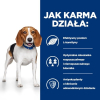 action/M5Y8S6B8M0s0O1v7g1O7E5A91542L0N3.jpg