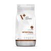 VetExpert Veterinary Diet Intestinal dog 12kg