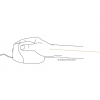 action/N2Z4X5s1i0B0D177U7h7M9H3M2w871S0.jpg