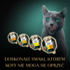 action/N4U5p7D2u0x0E1P7O2m0a0l9N437h7c7.jpg