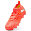 action/P7H2Y0I7c0h0I13709i0I1R1v2h5m7c1.jpg