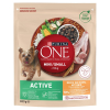 Purina Karma One Mini Active bogata w kurczaka z ryżem 800g