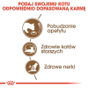 action/Q073M0D6y0z0k1N743F334W0e1R0g893.jpg