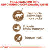 action/Q484G3X0U0D041E7f3Z314s0I1I532m4.jpg