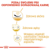 action/Q7X8y004n0L061o7I2R7V2B6W7r56151.jpg