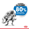 action/Q9O0u9x620N0X1U7h2D7Z4p2A7K4S897.jpg