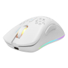Deltaco Gaming Maus USB, RGB, weiĂź