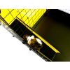 action/S2U6l5g8y0U0E1i738c613d515U8Z1B7.jpg