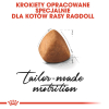 action/T0I5L1g340L0L1O7q3I374d8U165X834.jpg
