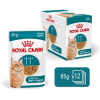 ROYAL CANIN FHN Cat Ageing 11+ Gravy 12x85g