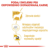 action/U9S5x0y5F010Y1K7N2l7x2E7N2z7V5m4.jpg