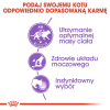 action/V0W9O3f0u0U0V1O7y9F0x8C5C03917s8.jpg