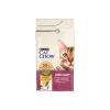 PURINA CAT CHOW Special Care Urinary Tract Health - sucha karma dla kota - 1,5 kg