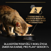 action/X5L5e5H06070q1O7v3S2o7K2S4V1B1L2.jpg
